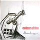 Colour Of Fire - Decisions, Decisions