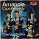 The Spotnicks - Amapola